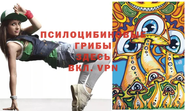 прущая мука Арсеньев